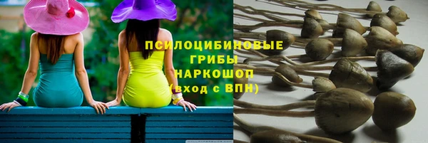 спиды Алексеевка