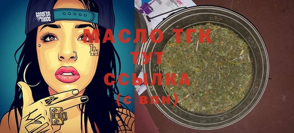 индика Няндома