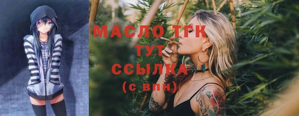 индика Няндома