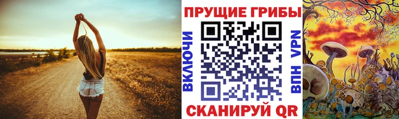 omg ссылки Воткинск Псилоцибиновые грибы прущие грибы наркошоп